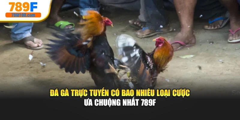 Đá Gà Trực Tuyến Có Bao Nhiêu Loại Cược Ưa Chuộng Nhất 789F