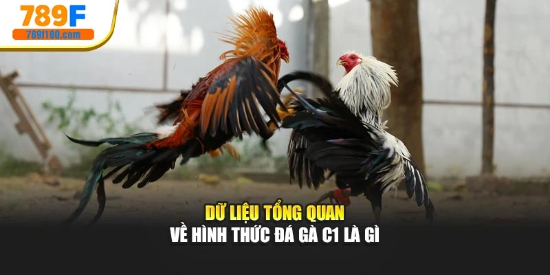 Dữ liệu tổng quan về hình thức đá gà C1 là gì