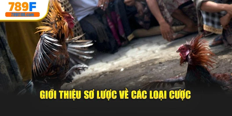 Giới thiệu sơ lược về các loại cược