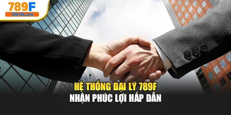 Hệ thống đại lý 789f nhận phúc lợi hấp dẫn