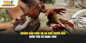 Hướng Dẫn Chơi Đá Gà Cho Người Mới Kiếm Tiền Dễ Dàng 789F
