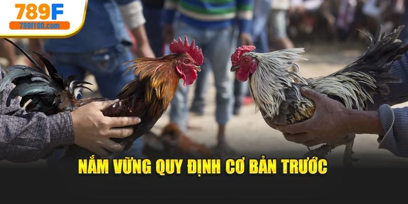 Nắm vững quy định cơ bản trước
