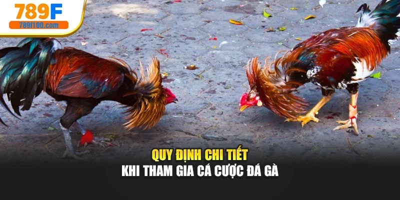 Quy định chi tiết khi tham gia cá cược đá gà