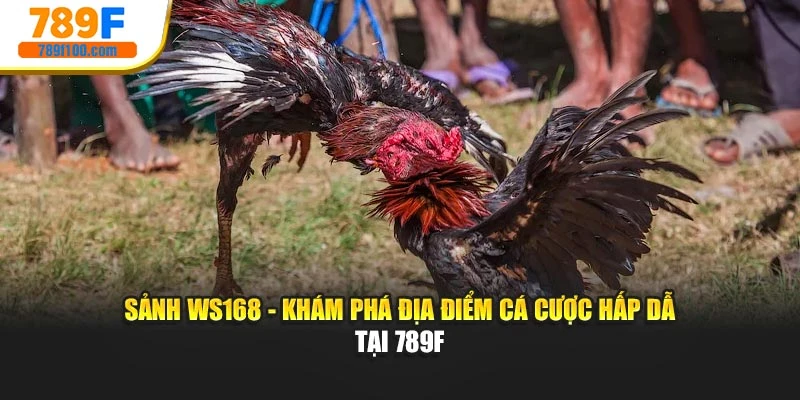 Sảnh WS168 - Khám Phá Địa Điểm Cá Cược Hấp Dẫn Tại 789F