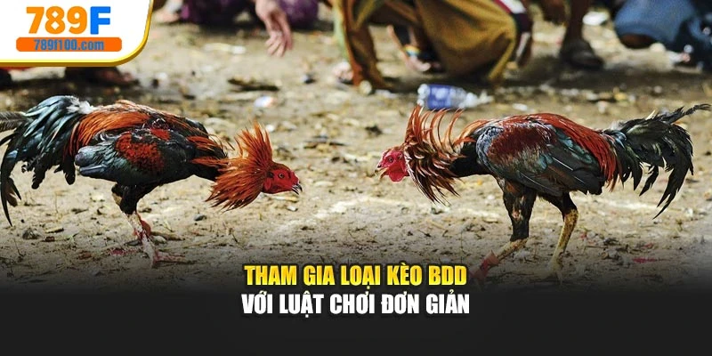 Tham gia loại kèo BDD với luật chơi đơn giản